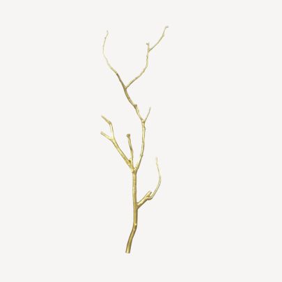 Twig